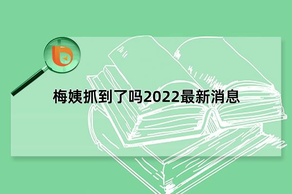 梅姨抓到了吗2022最新消息，并未被抓获(在外逃亡十几年)(梅姨抓到了吗2021最新消息)